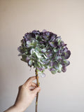 Bouquet d’hortensias